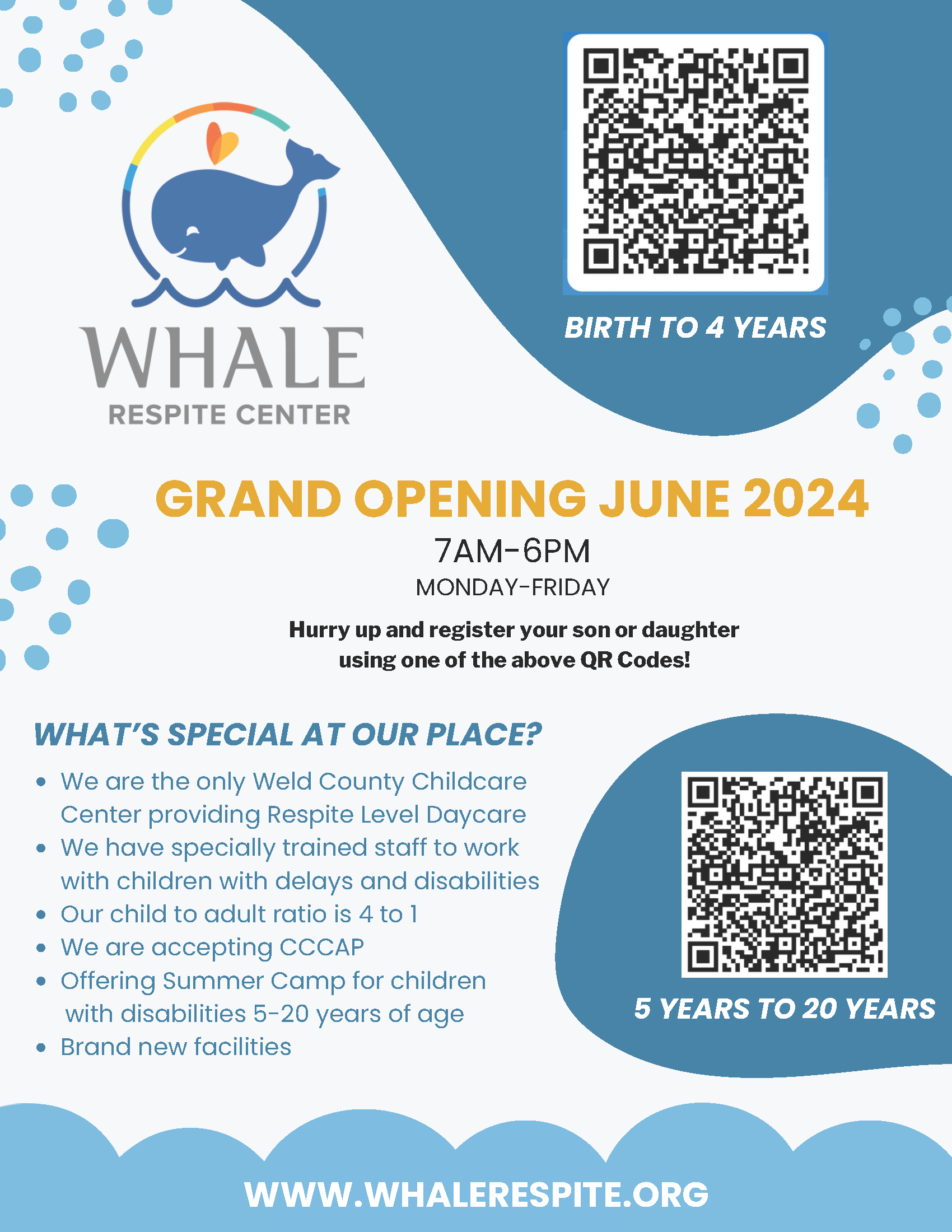 WHALE application flyer, featuring body text from article